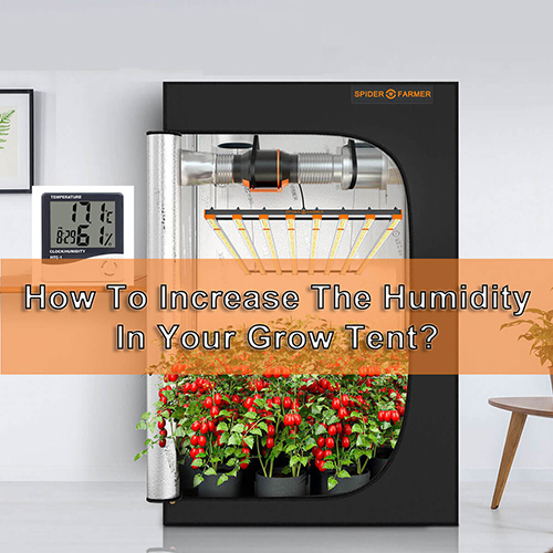 EU-Blog-How-to-increase-humidity-2