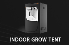 Indoor-Grow-Tent